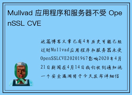 Mullvad 应用程序和服务器不受 OpenSSL CVE